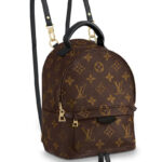Louis Vuitton Monogram Palm Springs Backpack Mini Bag M41562 Brown